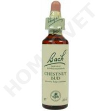 Bach Flower Remedies for Animals - Chestnut Bud